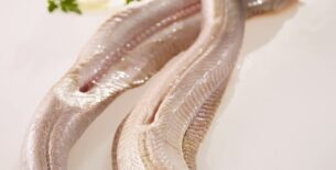Spinarolo