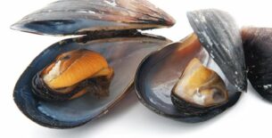 Cozze sgusciate cotte surgelate