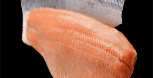 Filetto di salmone Atlantico con pelle senza lische Salmon Salar GAP